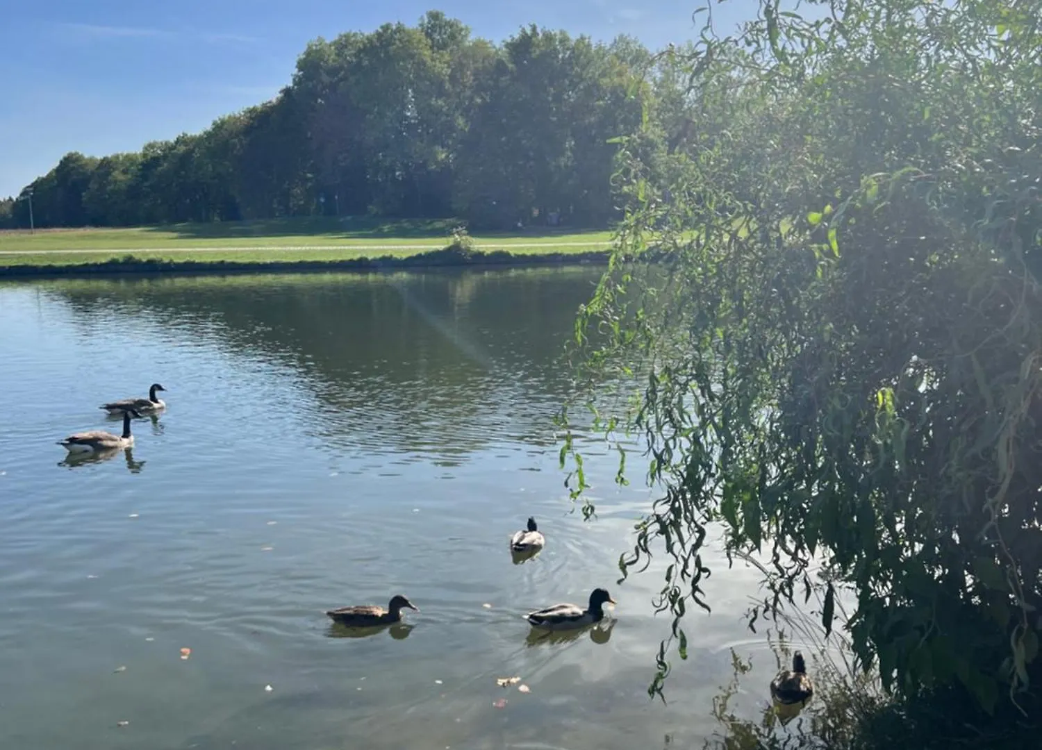 Homestay Privatzimmer 15 Qm Mit Gemeinschaftsbad Munich